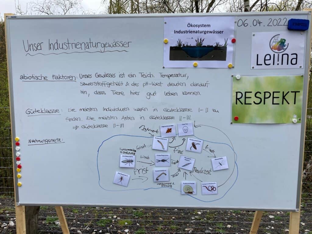 Bild7