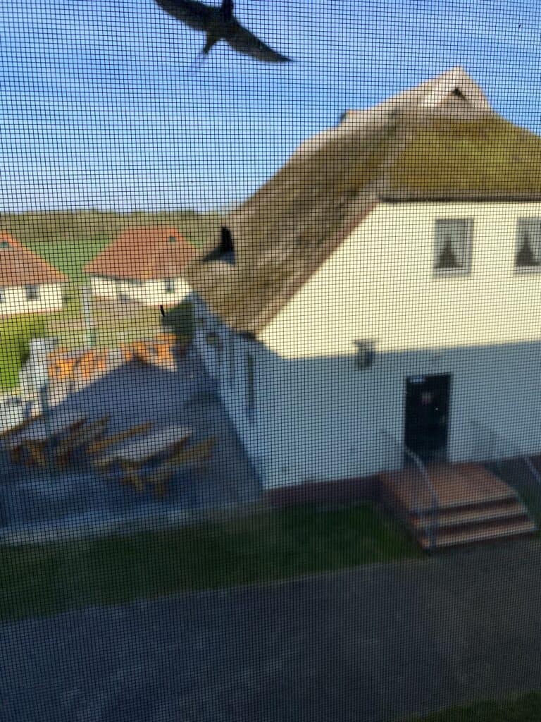 Klassenfahrt 2023 15
