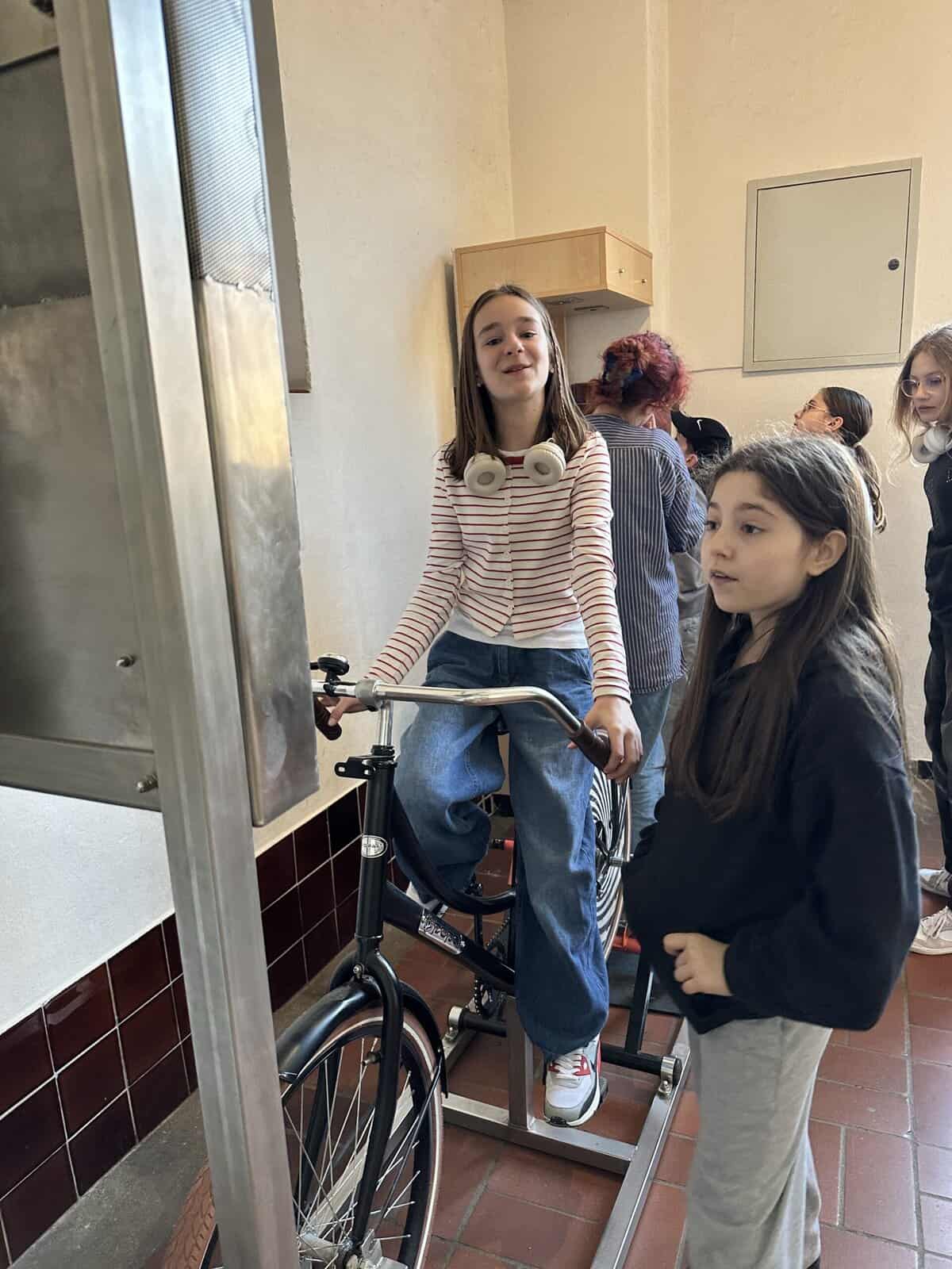  Phaenomania 05