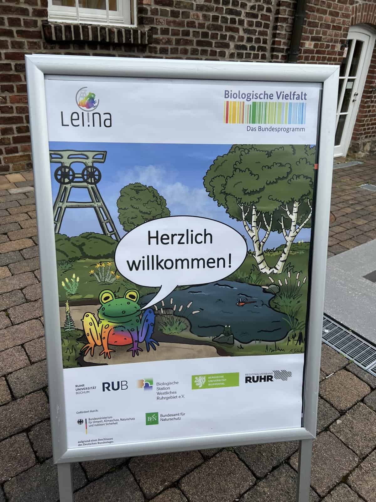  Lzp 26